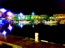 ������ ������� �������