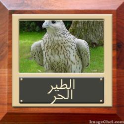 ������ ������� ((( ����� ���� )))